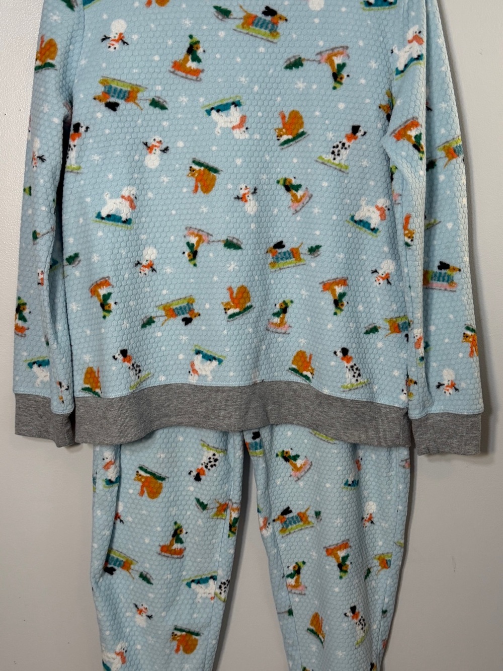 Cuddl Duds fleece pajama set petite medium blue winter dogs sledding joggers pjs